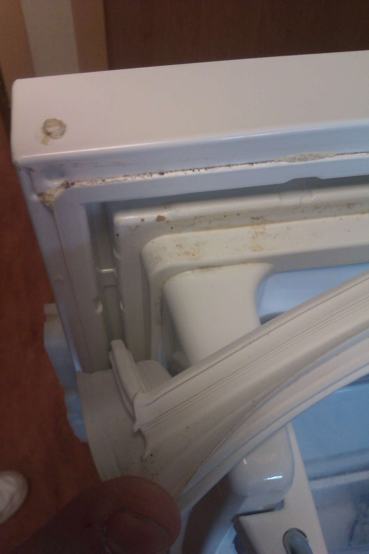 Wie ist die Türdichtung an meiner Kühlschranktür befestigt?